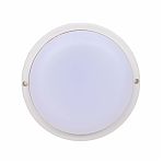 Светильник светодиодный герметичный IN HOME СПП ОAД-2065-КРУГ, 20Вт, 6500К, с оптико-акустическим датчиком, IP65, белый