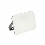 Прожектор светодиодный Feron  LL-941 SMD 30W 6400K IP65 белый