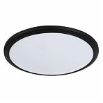 Светильник светодиодный потолочный Leek LE LED CLL Alanta, 24 Вт, черный