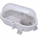 Светильник накладной Feron НБП 01-60-012 41405, 60 Вт, Е27, IP54, пластик, белый