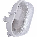 Светильник накладной Feron НБП 01-60-012 41405, 60 Вт, Е27, IP54, пластик, белый