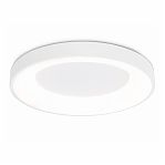 Светильник светодиодный AMBRELLA FZ1401 WH IP20, 48 Вт, белый, пульт ДУ, 3000-6500K теплый-холодный свет