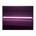 Светильник светодиодный для растений General Lighting Systems GLF1-600-8BT-FITO, 475609, 8 Bт, фиолетовый спектр 