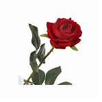Цветок Роза искусственный декоративный красный 40см Y4-5262