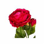 Цветок Пион искусственный фуксия 60см Y4-6934