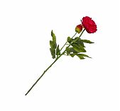 Цветок Пион искусственный фуксия 60см Y4-6934