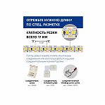 Лента светодиодная Feron 12V 17W/м 6500к 41280