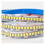 Лента светодиодная General GLS-2835-240, G501452, 240LED, 19.2 Вт, 24В, холодный белый, в упаковке 5 метров