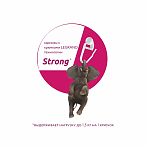 Карниз Legrand Шервуд 58146446, с поворотами, 2-х рядный, бежевый, 2400 мм