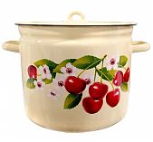 Кастрюля эмалированная Лысьвенские эмали с крышкой 1621/4, 9 л