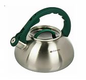 Чайник Daniks DSC-8805 нержавеющая сталь изумрудный 3 л