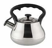 Чайник Daniks GS-04052A нержавеющая сталь со свистком 2,8 л
