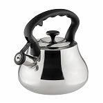 Чайник Daniks GS-04052A нержавеющая сталь со свистком 2,8 л