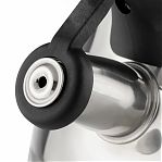 Чайник Daniks GS-04052A нержавеющая сталь со свистком 2,8 л