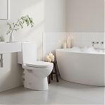 Унитаз напольный Sanita luxe Next Comfort 248465, с бачком и сиденьем, белый