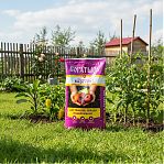 Биогрунт Богатырь для томатов, перца и баклажанов  универсальный, 10 л