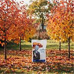 Удобрение Fertika Сад и Огород, Осень, гранулированное, минеральное, 2.5 кг