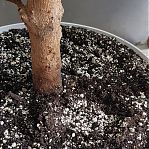 Смесь Вермикулит и Перлит, Рецепты Дедушки Никиты 6969146, субстрат, 5 л