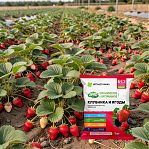 Удобрение органическое МетаОрганика Клубника и ягоды, Эко, специализированное, 1 кг