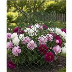 Решетка садовая 00-00000414, ячейка 45х45 мм, заборная, пластик, зеленая, 1 м.п.