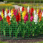 Решетка садовая 00-00000414, ячейка 45х45 мм, заборная, пластик, зеленая, 1 м.п.