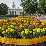 Бордюр декоративный Palisad Прованс, желтый, толщина 6 мм, 14х310 см