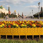 Бордюр декоративный Palisad Прованс, желтый, толщина 6 мм, 14х310 см