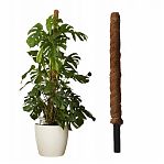 Опора кокосовая ST318-60, диаметр 32 мм, длина 600 мм, пластиковый каркас