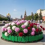 Бордюр декоративный Grinda Летний сад 422225-G, зелёный, 16х300 см