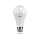 Лампа светодиодная А65 25W E27 4000K Ergolux