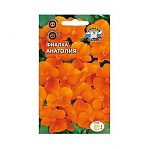 Фиалка Анатолия