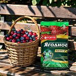 Удобрение Bona Forte Ягодное с биодоступным кремнием, пролонгированное,  2.5 кг