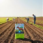 Удобрение Добрая сила Конский навоз, гранулированное, пролонгированное, 2 кг