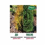Удобрение Добрая Сила для сосны, туи, ели, сбалансированное, весна-лето, 2 кг
