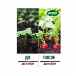 Удобрение Добрая Сила для лука, чеснока, редиса, сбалансированное, весна-лето, 2 кг