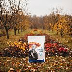 Удобрение Fertika Сад и Огород, Осень, гранулированное, минеральное, 5 кг