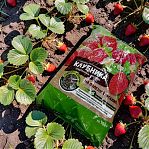 Удобрение Огородник Клубника, земляника, малина органоминеральное, гранулированное, 2,5 кг