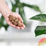 Дренаж цветочный Фаско Крупный Цветочное счастье, керамзит, предотвращает загнивание корней, 2 л