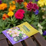 Удобрение Фаско Весеннее универсальное гранулированное, 1 кг