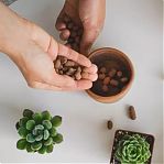 Дренаж цветочный Фаско Мелкий Цветочное счастье, керамзит, предотвращает загнивание корней, 2 л