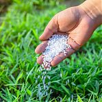 Удобрение Robin Green Газон, от пожелтения, органоминеральное, 2.5 кг