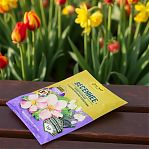 Удобрение Фаско Весеннее универсальное гранулированное, 2.5 кг