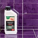 Антисептик Prosept Fungi Stop Защита от плесени, для минеральных поверхностей, концентрат, 1 л