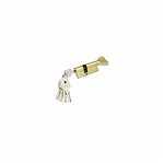 Цилиндровый механизм MAXI Locks CW90 ключ, вертушка PB, полированная латунь