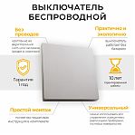 Выключатель дистанционного управления одноклавишный  Feron TM 81 41719 без контроллера, серебро