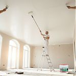 Краска для стен и потолков Alfavit Альфа 42758, водно-дисперсионная, супербелая RAL7047, 14 кг