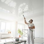 Краска для стен и потолков Alfavit Альфа 42758, водно-дисперсионная, супербелая RAL7047, 14 кг