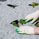 Мульча бело-черная Агротекс 32.01.57.01.24.080.0005.1, 80 г/кв.м, 1.6х5 м, защита от перегрева и сорняков