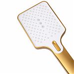 Душевая система AETHERPRIDE A2491-3 сатин золотой, термостат, тропический душ