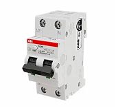 Дифавтомат ABB DS201, 2П, 16 А, 30мА, 6 кА, электромеханический